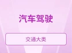 汽车驾驶