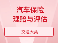 汽车保险理赔与评估