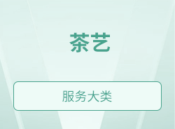 茶艺