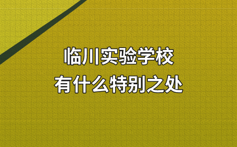 临川实验学校有什么特别之处