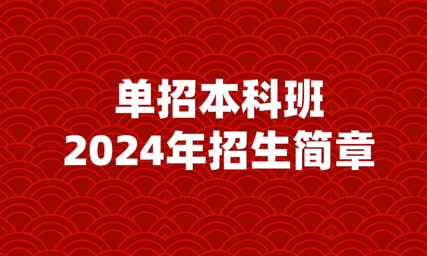 2024年单招本科班招生简章